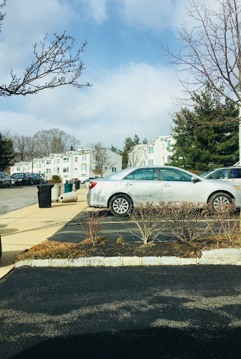 Douglaston - Thumbnail
