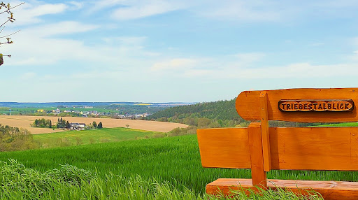 Triebestalblick - Visual