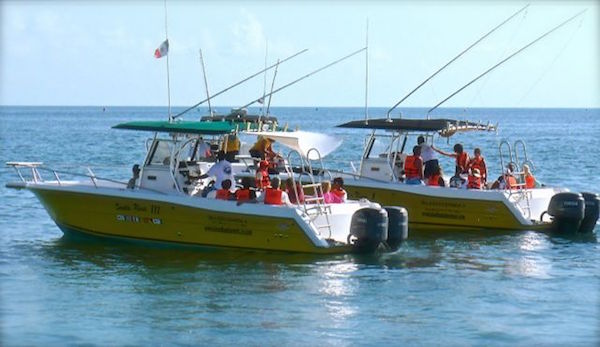 Mexico Whale Shark Cancun by null