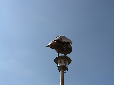Photos of Delfinario Cayo Blanco