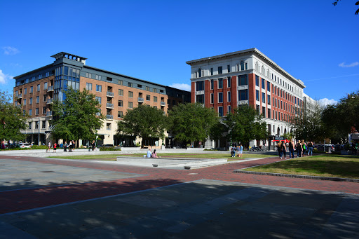 Ellis Square - Visual