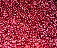 おやしろカフェ