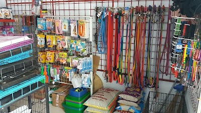 Photos of Pet shop