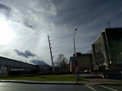Photos of Carnegie Mellon University Office of Undergraduate Admission