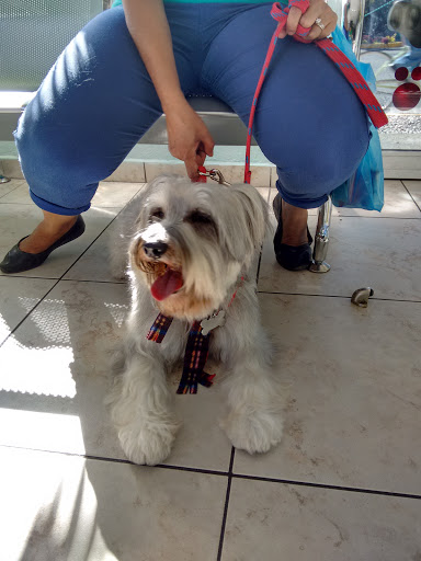 Hospital Veterinario del Valle - Thumbnail