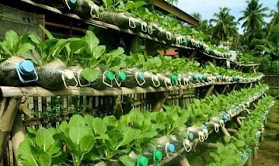 Photos of Ganaunnayana market, West Rajoir