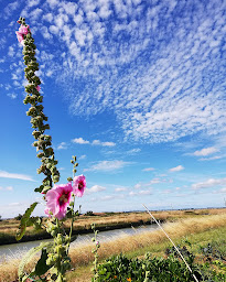 Photo n°17 de Ferme marine d’Artouan à Saint-Just-Luzac (Ferme aquacole)