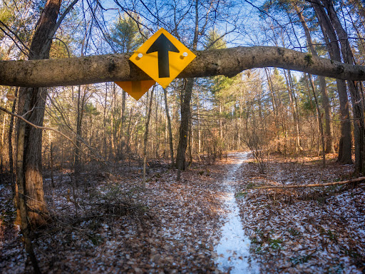 Dodge Reservation - Visual