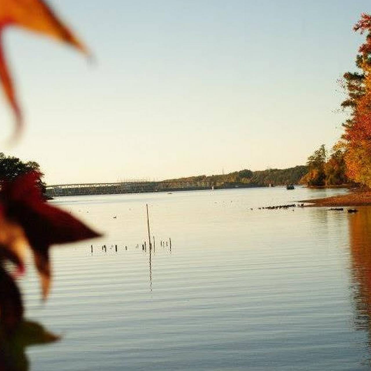 Pickwick Cabin Rentals - Vacation Home Rental Agency in Counce