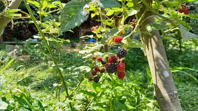 地球とあそぶひみつきち