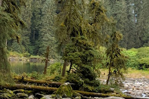 Anan Creek Wildlife Viewing Site, Wrangell, United States