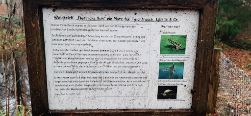 Waldteich Heinrich’s Ruh - Thumbnail