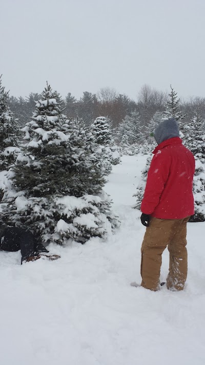 Photos of Oney's Tree Farm