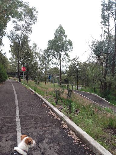 Ciclovía los Fuertes