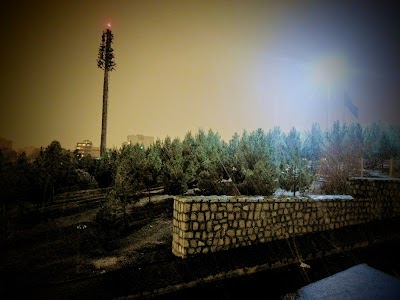 Photos of پارک آبنوس