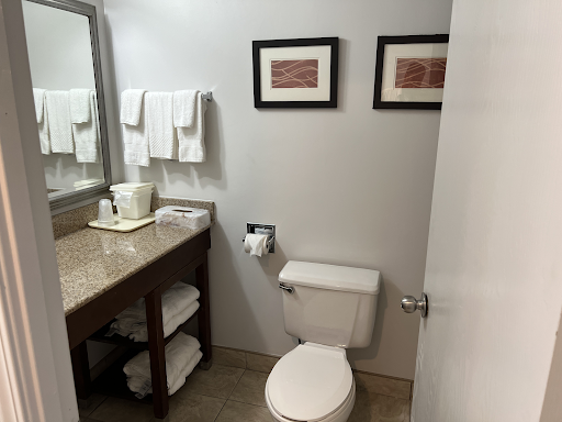 Comfort Inn & Suites Syracuse-Carrier Circle - Thumbnail