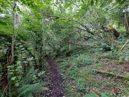 Straidkilly Nature Reserve - Thumbnail