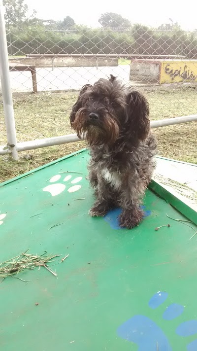 Photos of Parque Canino Fatima