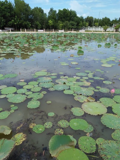 photo of Công Viên Văn Hóa Bình San