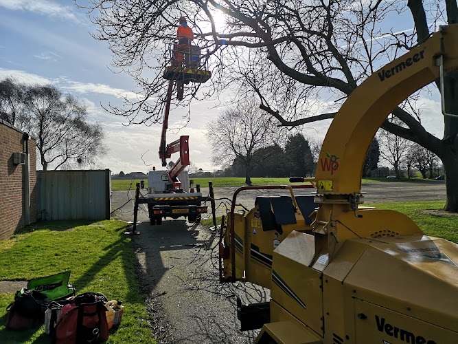 Woodpecker Trees Ltd