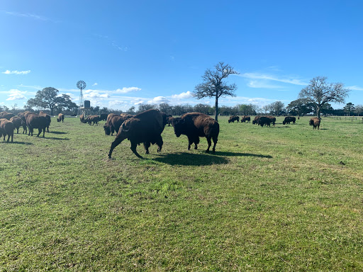 Frebo Ranches - Visual