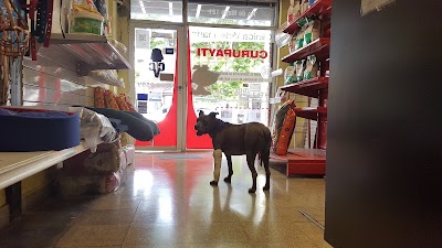 Photos of Clinica Veterinaria Curupayti