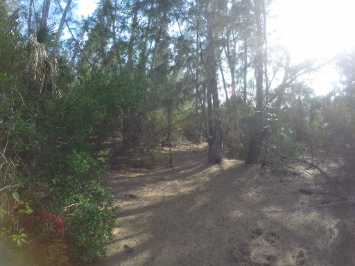 Garrett’s Path - Visual