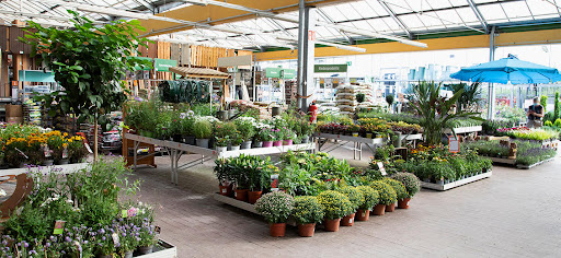 OBI Markt Sangerhausen - Visual
