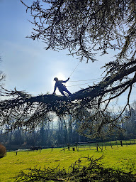 Photo n°12 de Sylvain élagage à Précy-sur-Oise (Service d'élagage)
