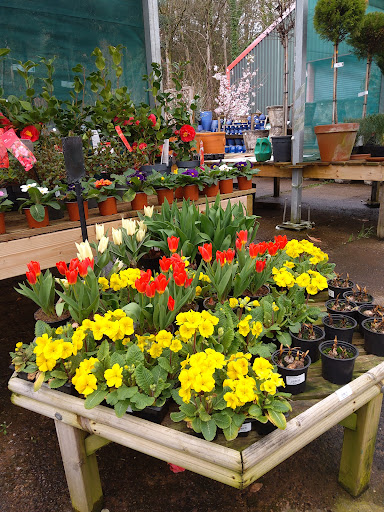 Blackwood Garden Centre - Thumbnail