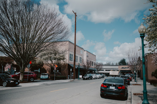 Vibrant Life Chiropractic, PLLC - Thumbnail
