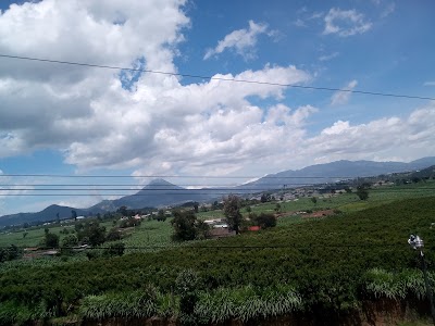 Photos of Hotel Pradera