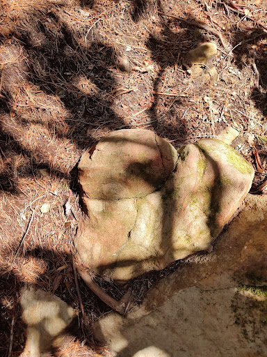 Flat Hollow Trailhead Gallery - United States