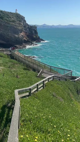 Waiwhakaheke Seabird Lookout - Dunedin
