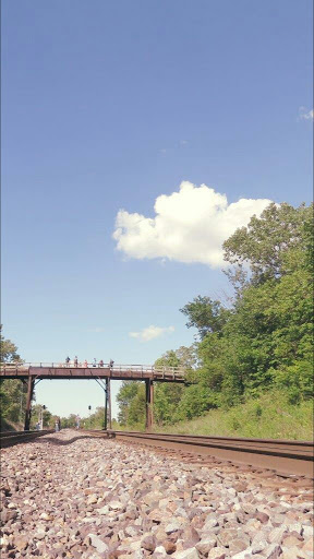 The Train Bridge - Visual