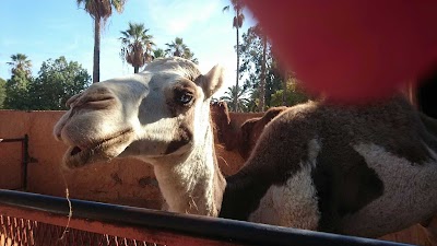 Photos of Small Zoo D'Oran
