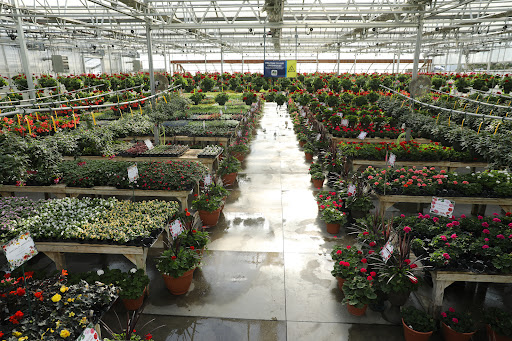 Wallace's Garden Center - Thumbnail