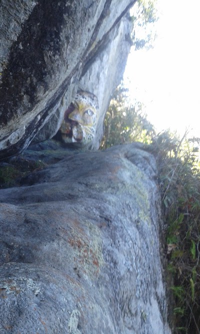 Photos of Reserva Natural Cerro Gobia