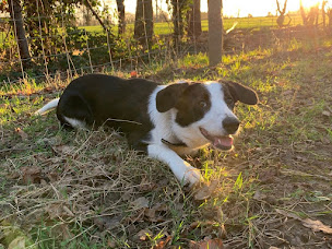 Photo n°10 de La Ville Es Renais à Erquy (Ferme bio)