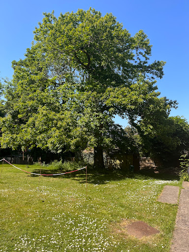 Bedford House Community Association - Thumbnail