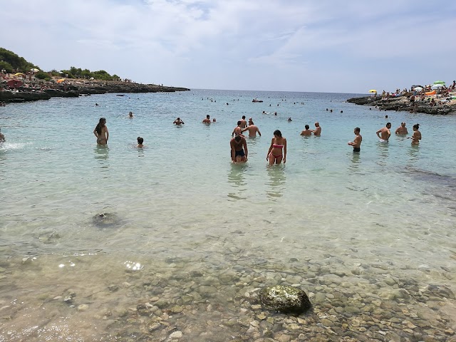 Parco Naturale Regionale di Porto Selvaggio e Palude del Capitano