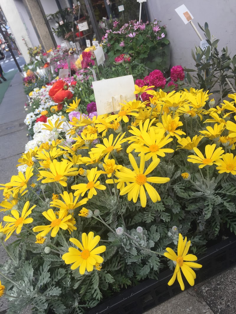 池田種苗園芸店 東京都板橋区成増 園芸センター グルコミ