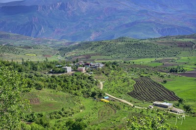 ŞİRVAN İLÇE TARIM VE ORMAN MÜDÜRLÜĞÜ