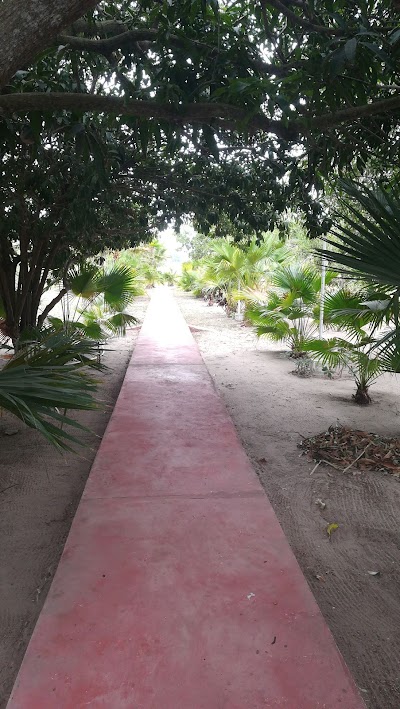 Photos of Finca Quinta Bolivar