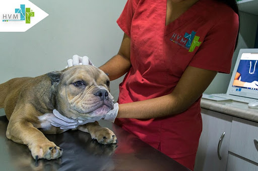 Veterinaria HVM, Suc. Santa Luz