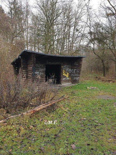 Muschelkalkwand Gebhardshagen - Thumbnail