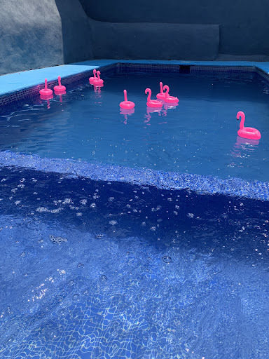 Trapiche Pool - Visual