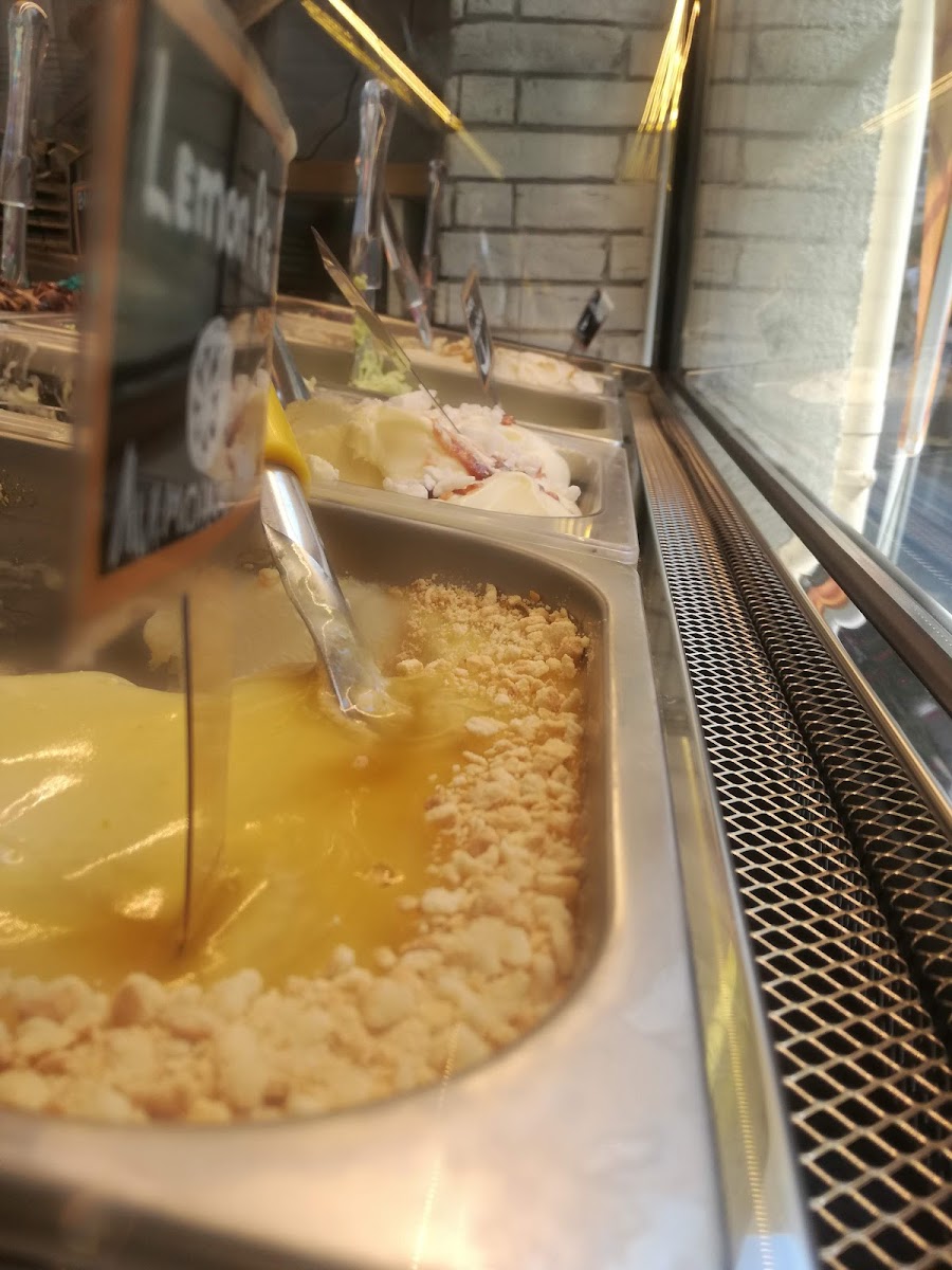 YellowCat Gelato & Cake — photo 7