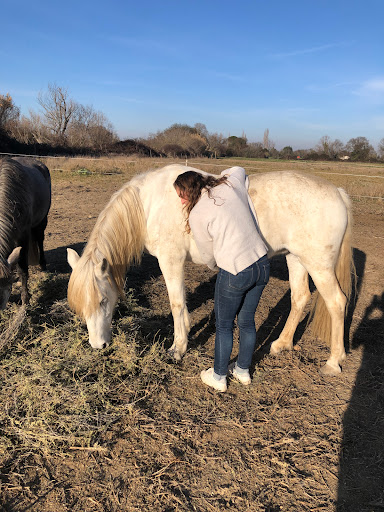 Âme’Animal communication et soins énergétiques