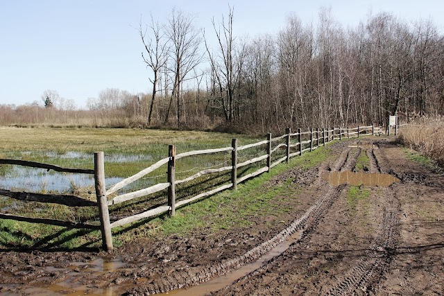 Provinciedomein "Het Vinne" Zoutleeuw